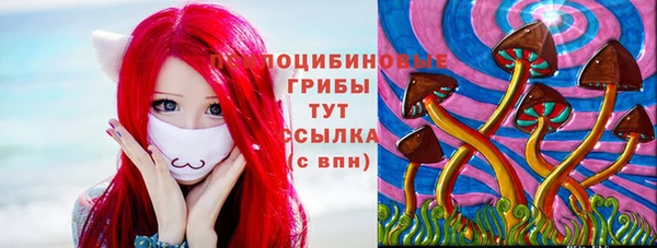марки lsd Белокуриха