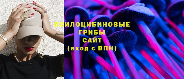соль ск Богородск